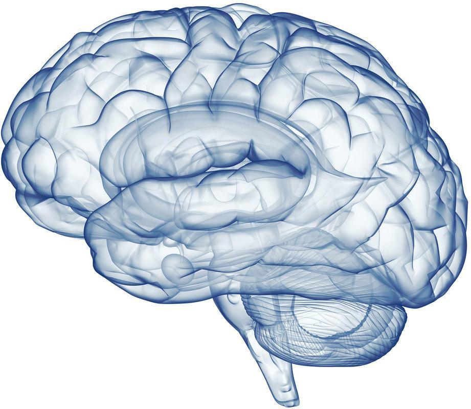 Profesjonalna pomoc z zakresu neurologii